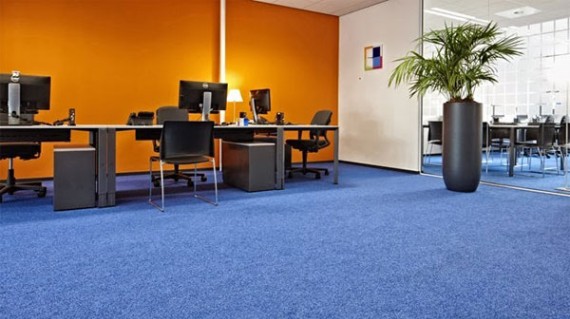 Mách Bạn Cách Lựa Chọn Thảm Văn Phòng Đẹp Giá Rẻ Trên Thị Trường