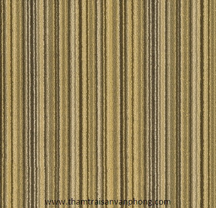 Thảm Tấm D1