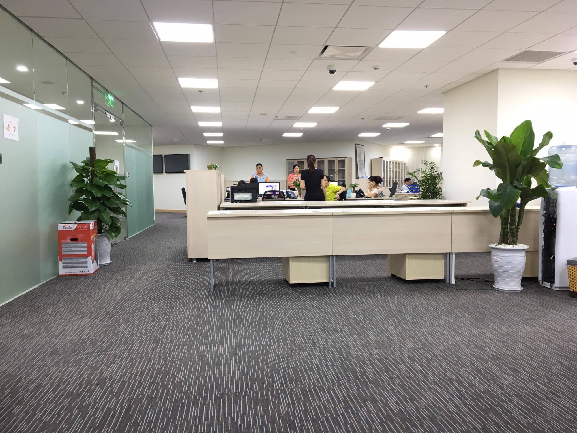 Thảm trải sàn văn phòng 100m2 dạng cuộn